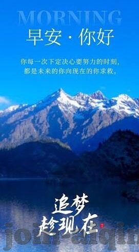 成人免费观看视频完整版视频在线观看-网络时代的灰色地带与界限
