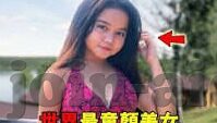 麻豆最新视频-麻豆最新视频，揭示背后的故事与创意之旅
